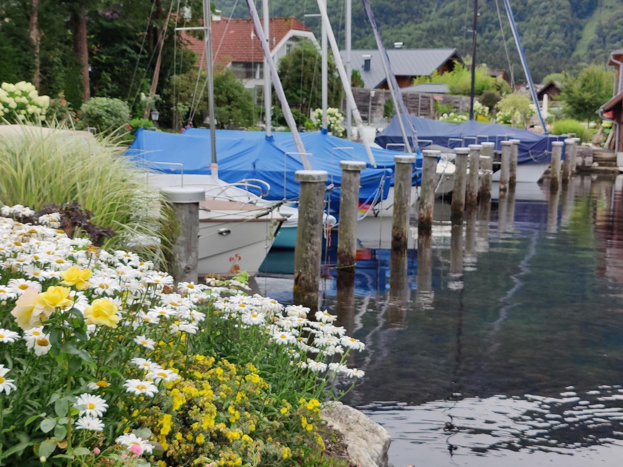 Wohnen Am See Villa Schroetter Direkt Am Traunsee Rindbach Εξωτερικό φωτογραφία