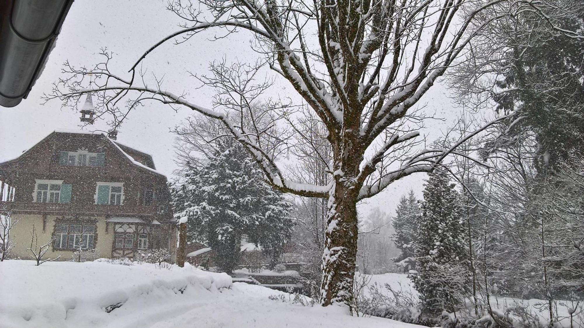 Wohnen Am See Villa Schroetter Direkt Am Traunsee Rindbach Εξωτερικό φωτογραφία